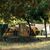 Village du Bosc — photo 4